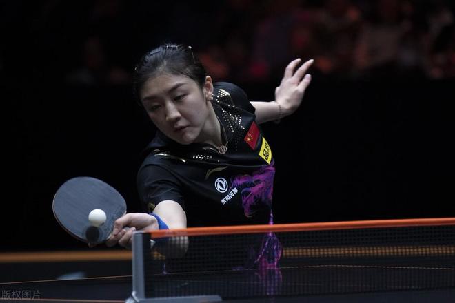 塞尔塔不仅 塞尔塔不仅